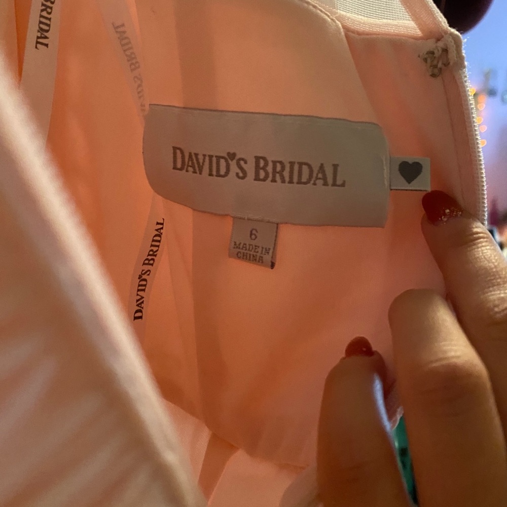 Blush pink David’s Bridal Bridesmaid Dress